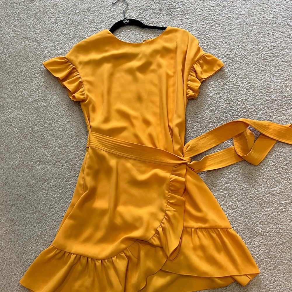 Aritzia Dress